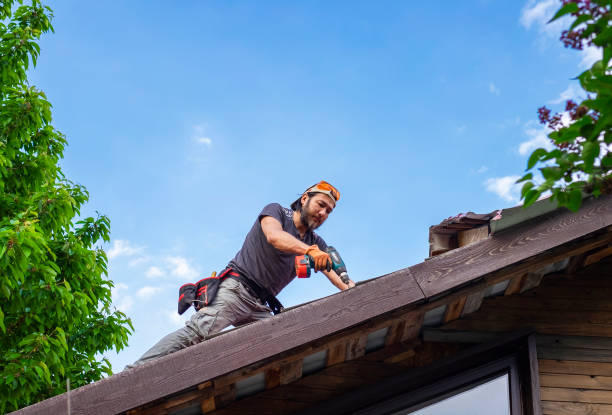 Best Steel Roofing  in Lincolnia, VA